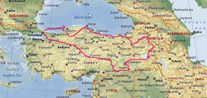 turkey2
